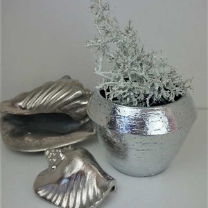 Schnecke groß und klein3