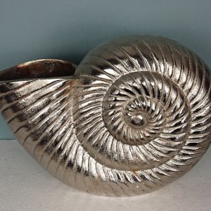Schnecke Ammonit als Vase