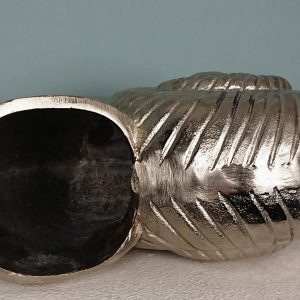 Schnecke Ammonit als Vase